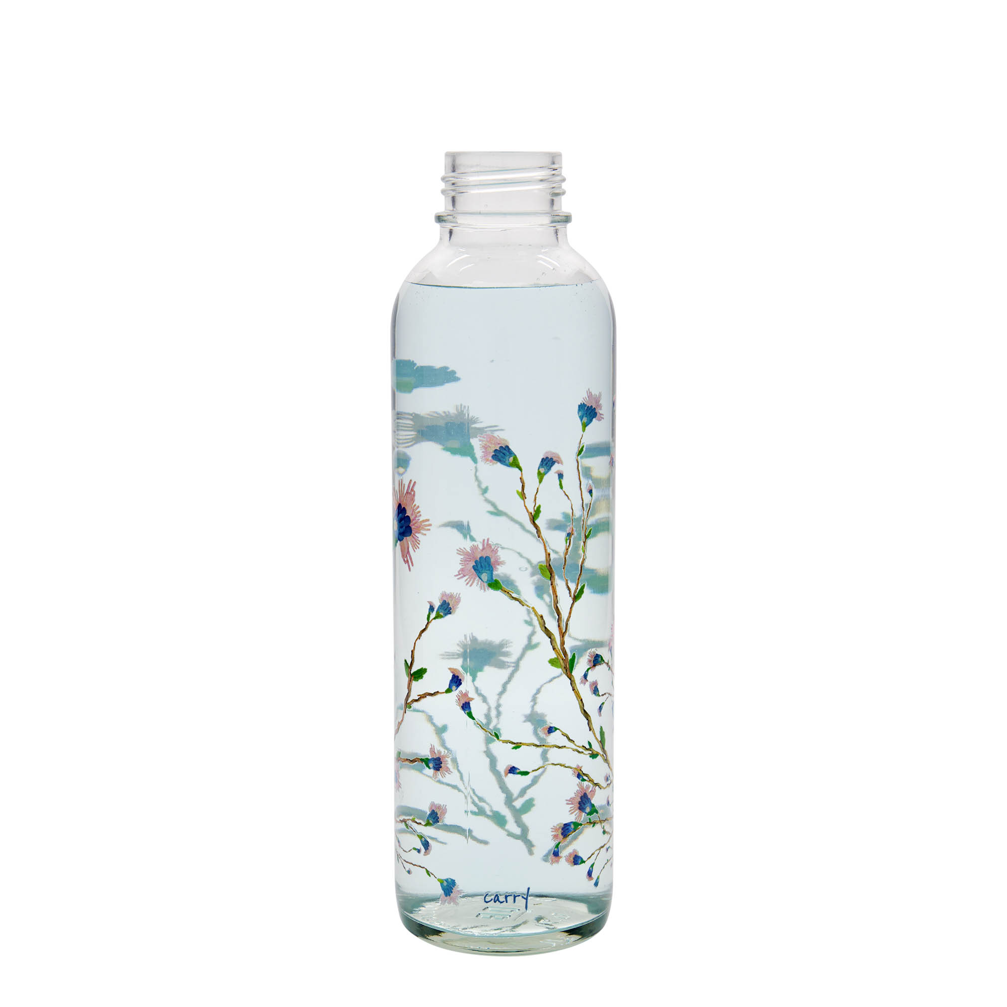 Boca za piće od 700 ml CARRY Bottle, motiv: Hanami, otvor: Zatvarač sa navojem